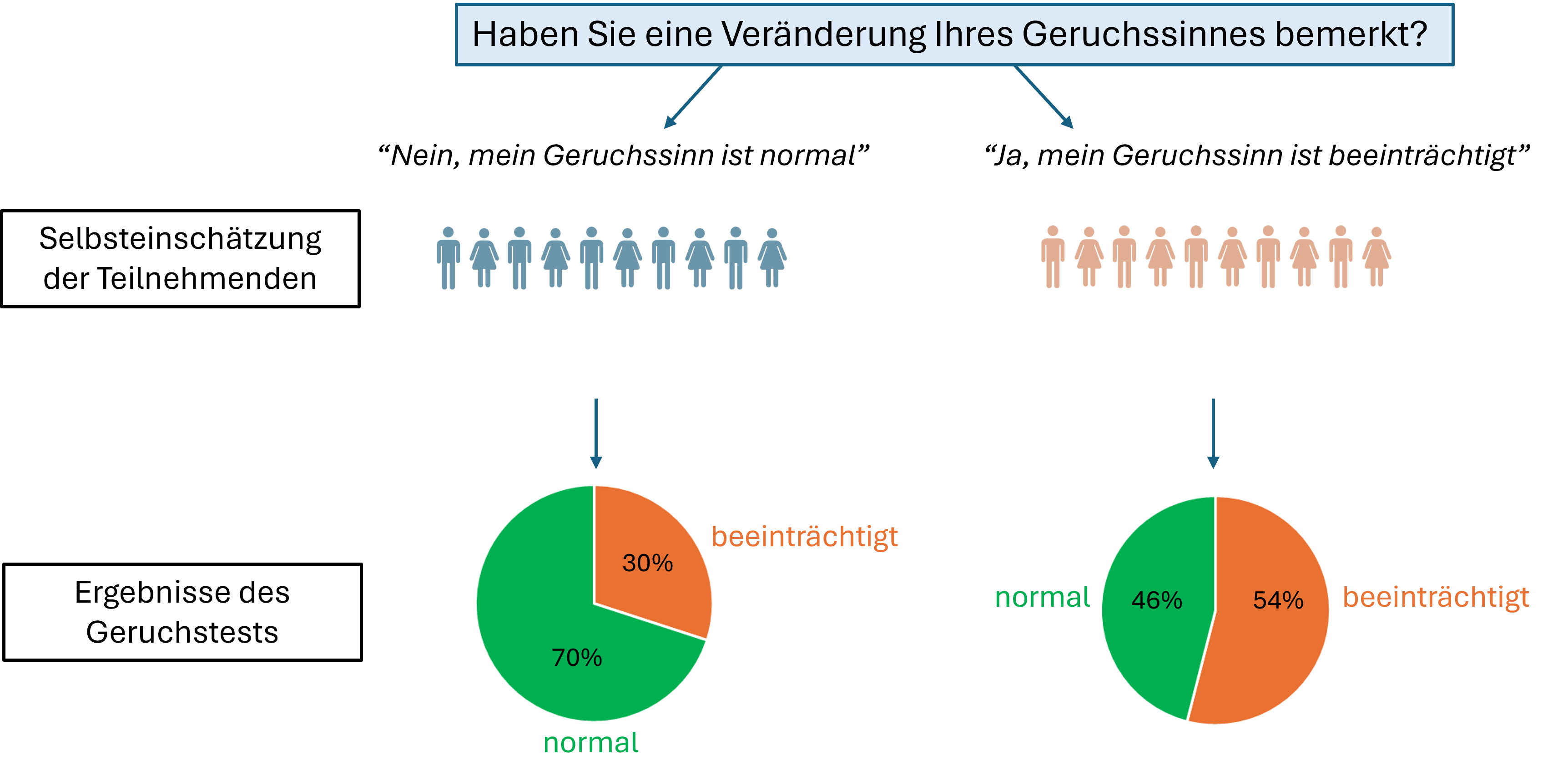 The age distribution of participants